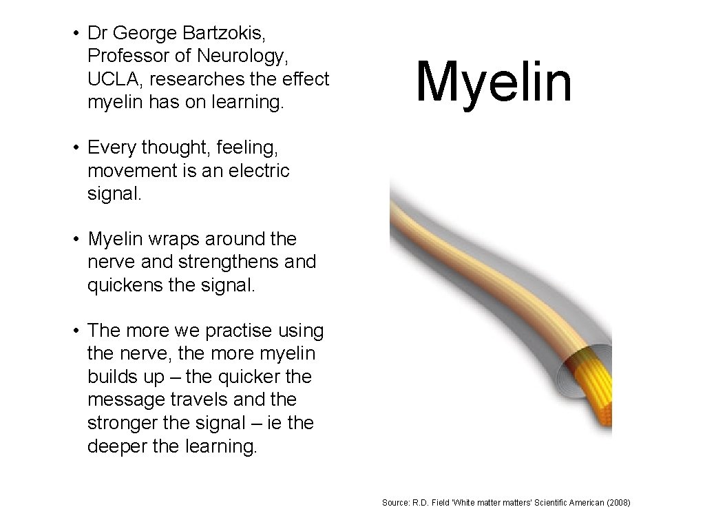  • Dr George Bartzokis, Professor of Neurology, UCLA, researches the effect myelin has