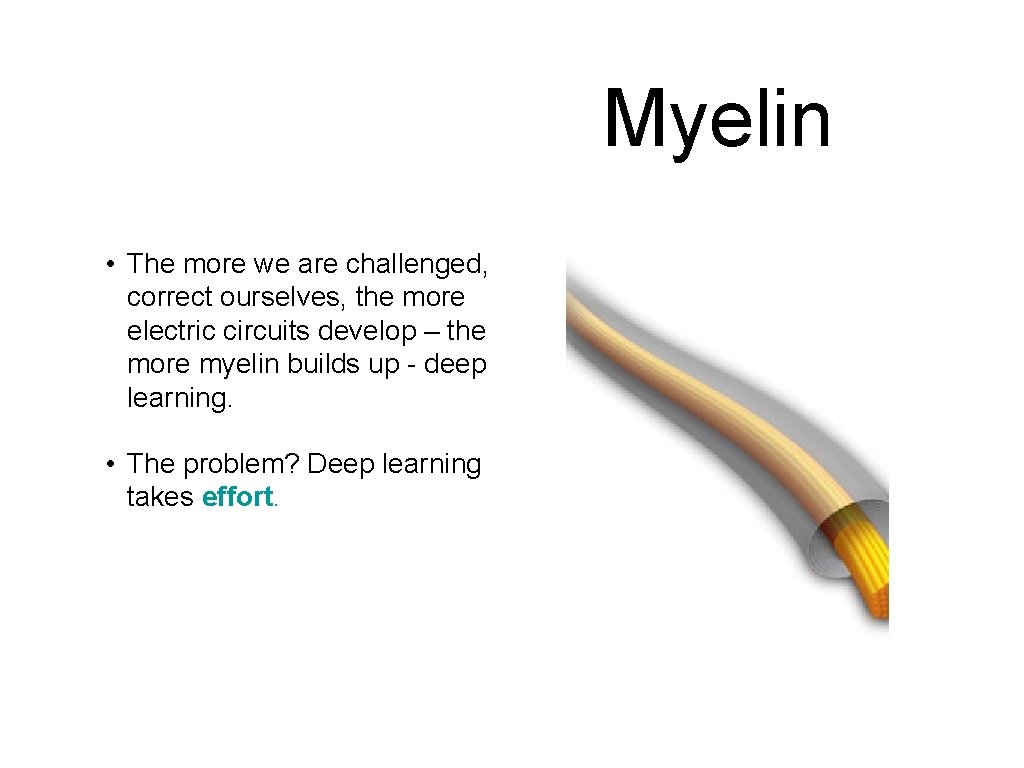 Myelin • The more we are challenged, correct ourselves, the more electric circuits develop