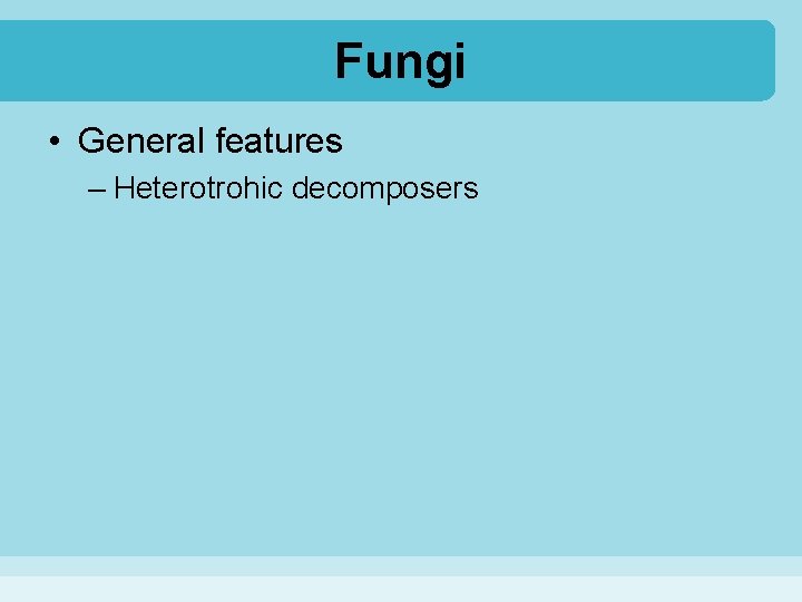 Fungi • General features – Heterotrohic decomposers 