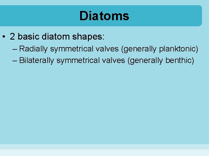 Diatoms • 2 basic diatom shapes: – Radially symmetrical valves (generally planktonic) – Bilaterally