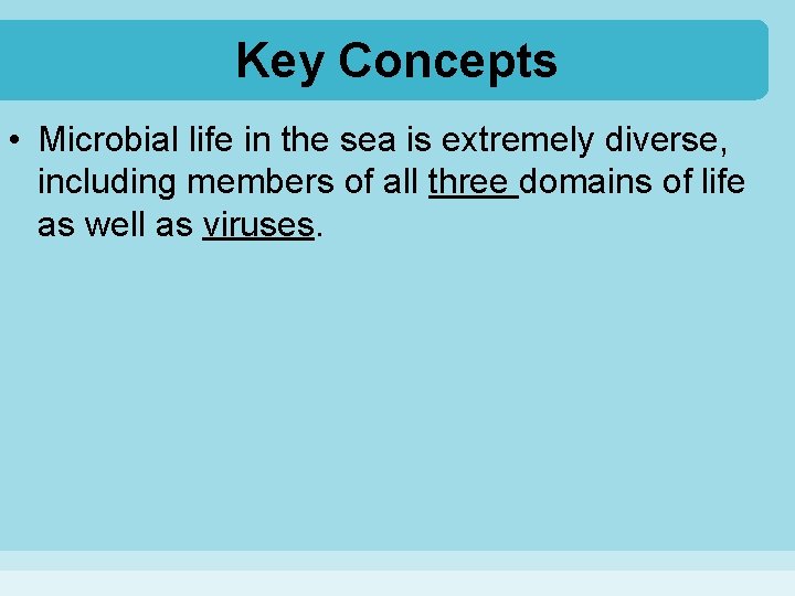 Key Concepts • Microbial life in the sea is extremely diverse, including members of