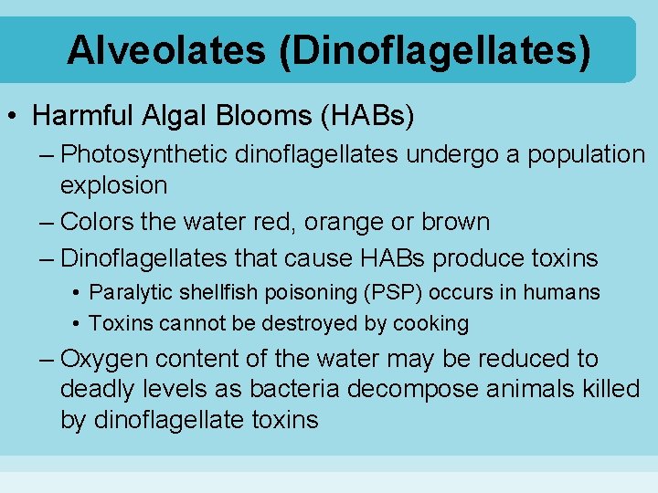 Alveolates (Dinoflagellates) • Harmful Algal Blooms (HABs) – Photosynthetic dinoflagellates undergo a population explosion