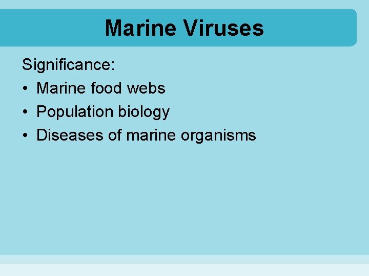 Marine Viruses Significance: • Marine food webs • Population biology • Diseases of marine