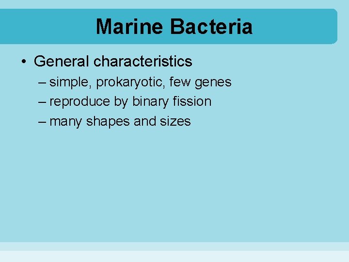 Marine Bacteria • General characteristics – simple, prokaryotic, few genes – reproduce by binary