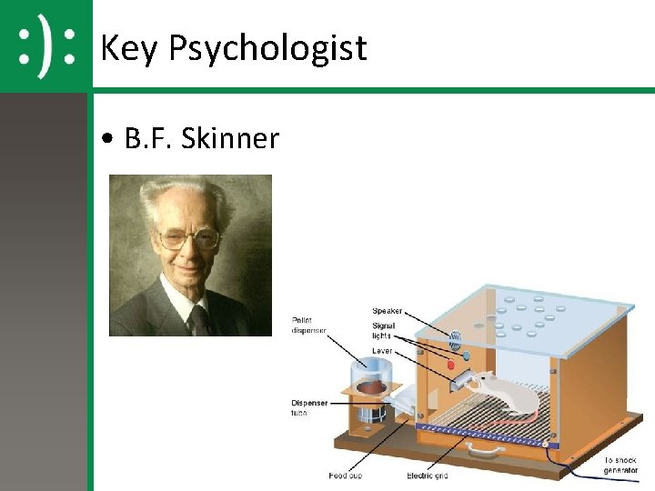 Key Psychologist • B. F. Skinner 