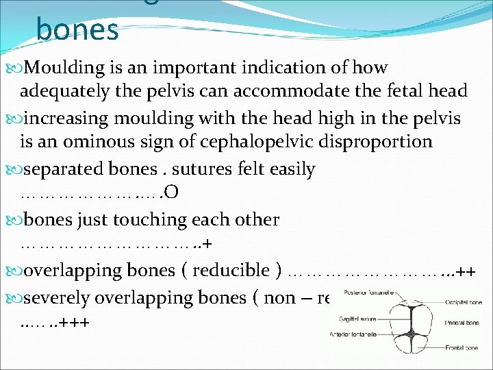bones Moulding is an important indication of how adequately the pelvis can accommodate the