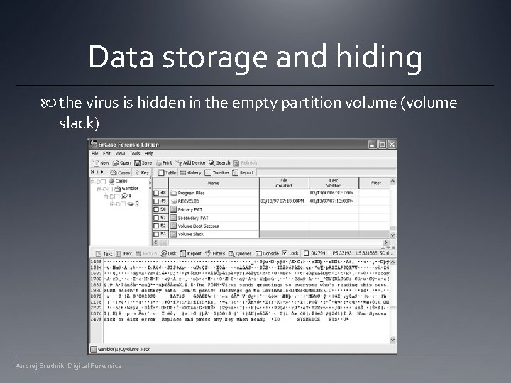 Data storage and hiding the virus is hidden in the empty partition volume (volume Data storage and hiding the virus is hidden in the empty partition volume (volume