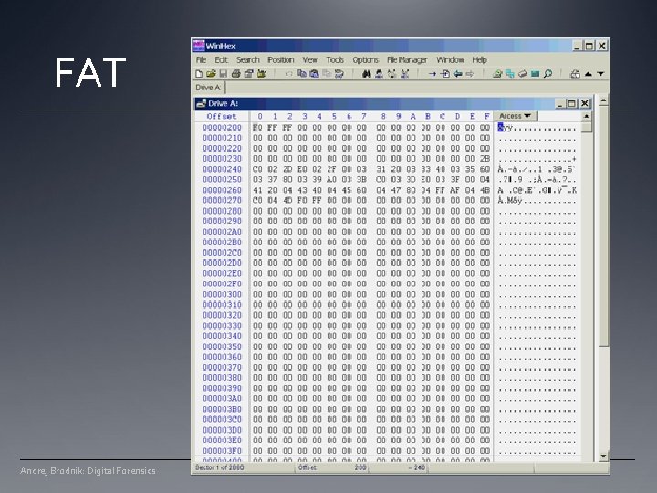 FAT Andrej Brodnik: Digital Forensics FAT Andrej Brodnik: Digital Forensics