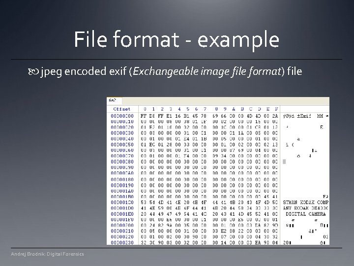 File format - example jpeg encoded exif (Exchangeable image file format) file Andrej Brodnik: File format - example jpeg encoded exif (Exchangeable image file format) file Andrej Brodnik: