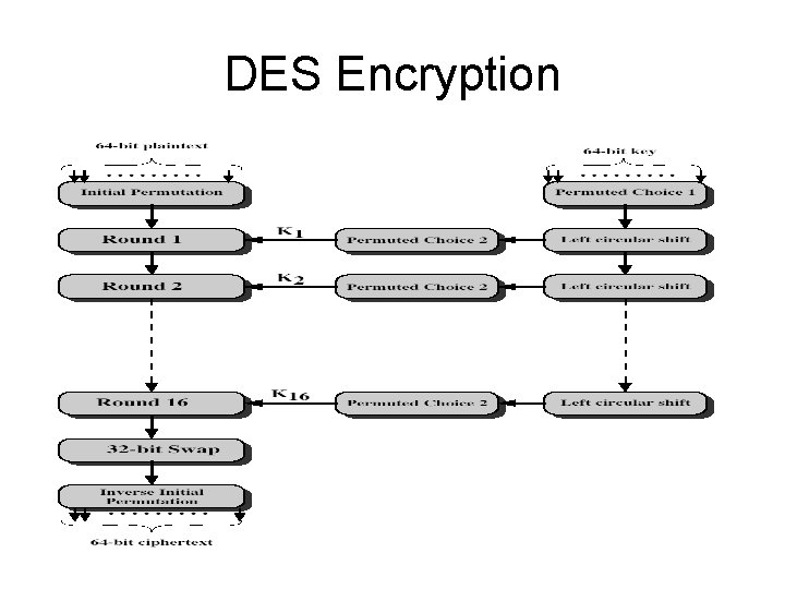 DES Encryption 