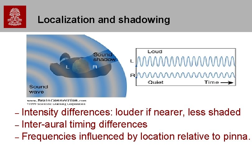 Localization and shadowing Intensity differences: louder if nearer, less shaded – Inter-aural timing differences