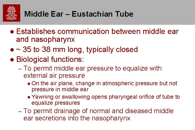 Middle Ear – Eustachian Tube Establishes communication between middle ear and nasopharynx ~ 35 Middle Ear – Eustachian Tube Establishes communication between middle ear and nasopharynx ~ 35