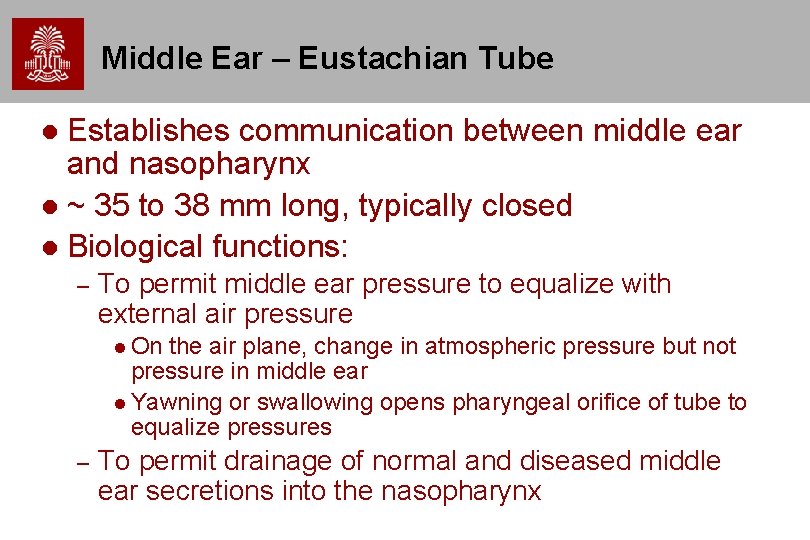 Middle Ear – Eustachian Tube Establishes communication between middle ear and nasopharynx ~ 35