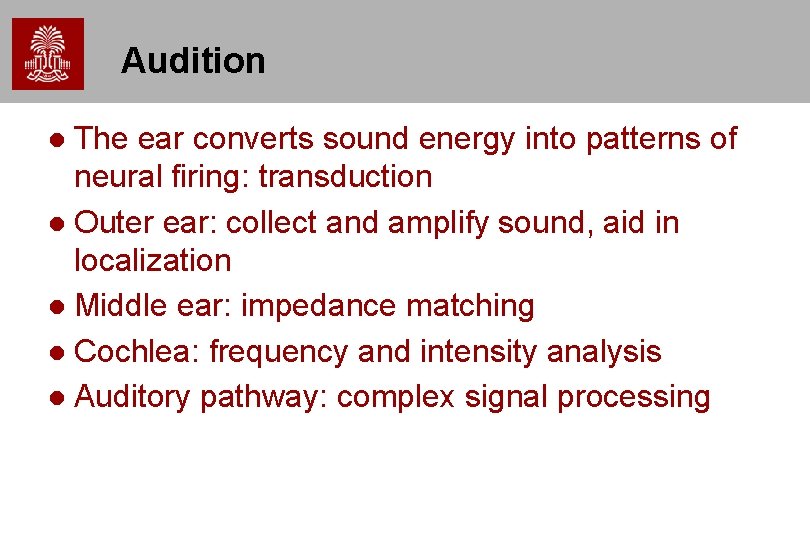 Audition The ear converts sound energy into patterns of neural firing: transduction Outer ear: