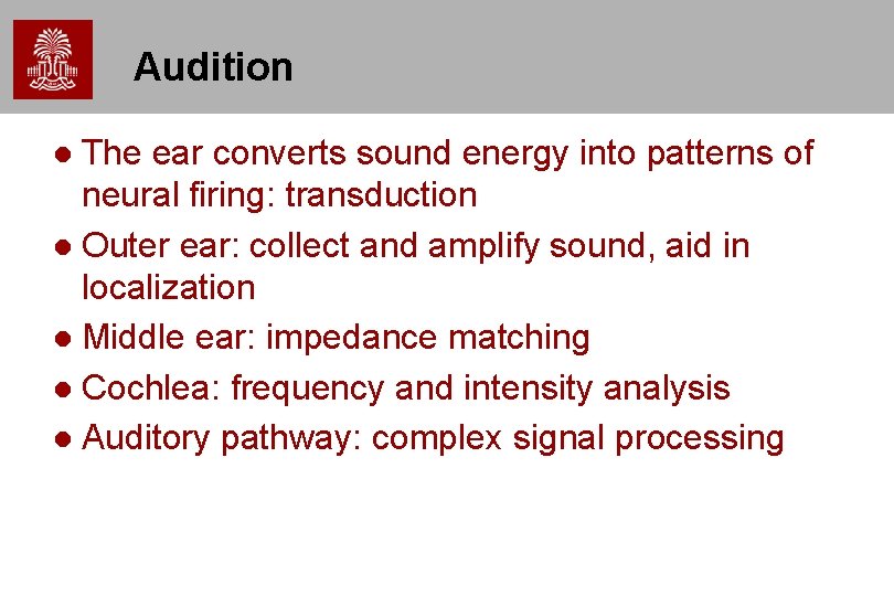 Audition The ear converts sound energy into patterns of neural firing: transduction Outer ear: Audition The ear converts sound energy into patterns of neural firing: transduction Outer ear: