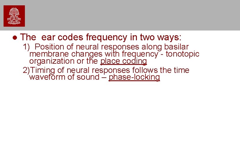 The ear codes frequency in two ways: 1) Position of neural responses along The ear codes frequency in two ways: 1) Position of neural responses along