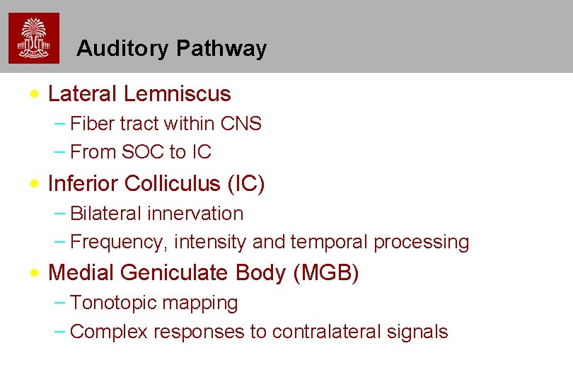 Auditory Pathway • Lateral Lemniscus – Fiber tract within CNS – From SOC to Auditory Pathway • Lateral Lemniscus – Fiber tract within CNS – From SOC to
