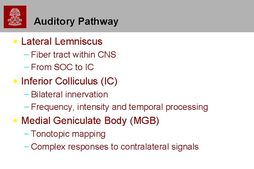 Auditory Pathway • Lateral Lemniscus – Fiber tract within CNS – From SOC to