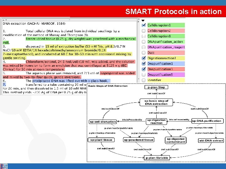 SMART Protocols in action 