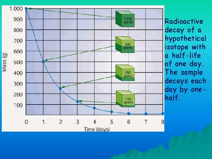 Radioactive decay of a hypothetical isotope with a half-life of one day. The sample