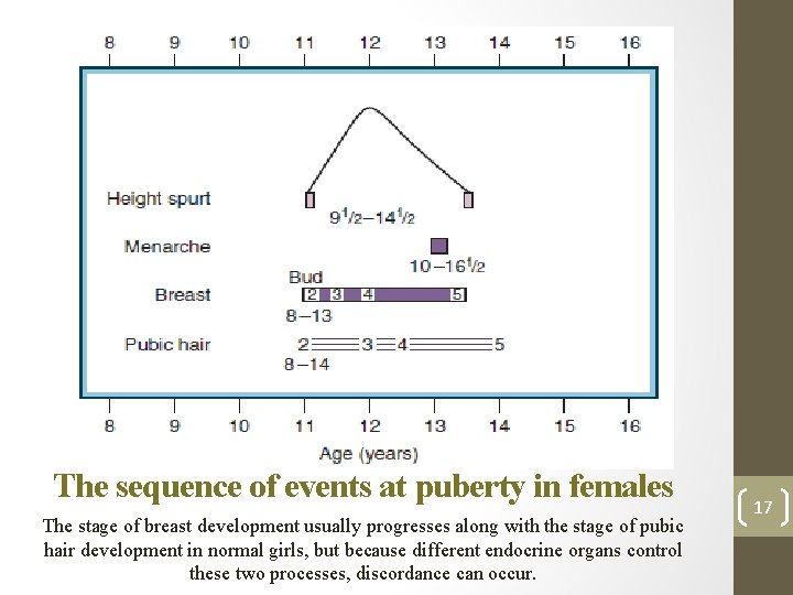 The sequence of events at puberty in females The stage of breast development usually