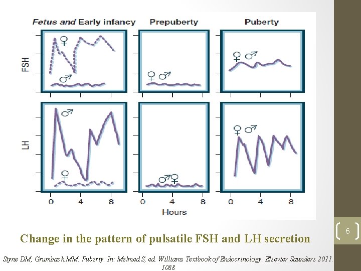 Change in the pattern of pulsatile FSH and LH secretion Styne DM, Grumbach MM.