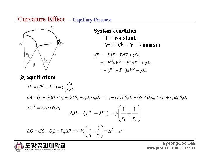 Curvature Effect – Capillary Pressure System condition T = constant Vα = Vβ =