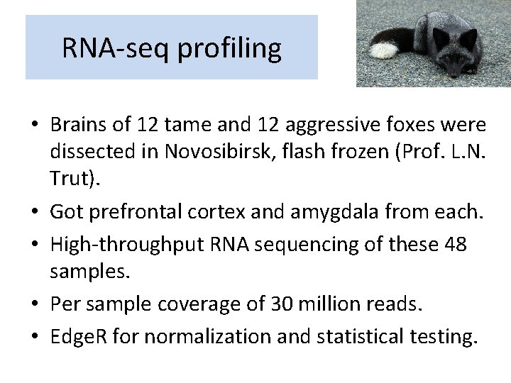 RNA-seq profiling • Brains of 12 tame and 12 aggressive foxes were dissected in