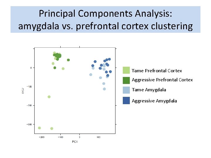 Principal Components Analysis: amygdala vs. prefrontal cortex clustering Tame Prefrontal Cortex Aggressive Prefrontal Cortex