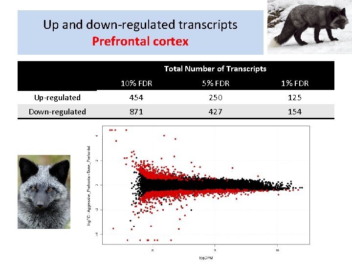 Up and down-regulated transcripts Prefrontal cortex Total Number of Transcripts 10% FDR 5% FDR