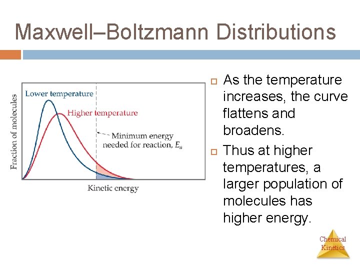 Maxwell–Boltzmann Distributions As the temperature increases, the curve flattens and broadens. Thus at higher