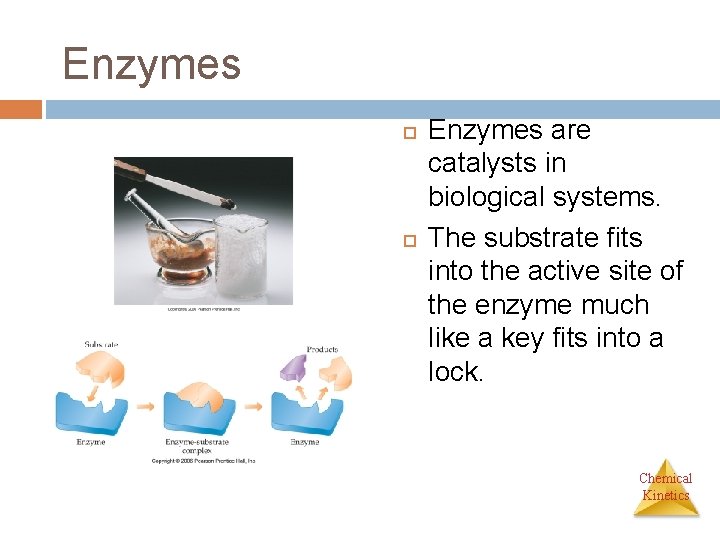 Enzymes are catalysts in biological systems. The substrate fits into the active site of