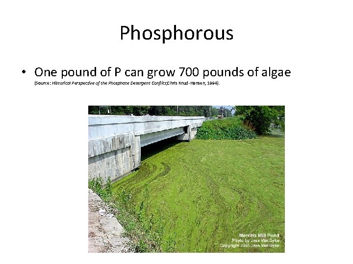 Phosphorous • One pound of P can grow 700 pounds of algae (Source: Historical