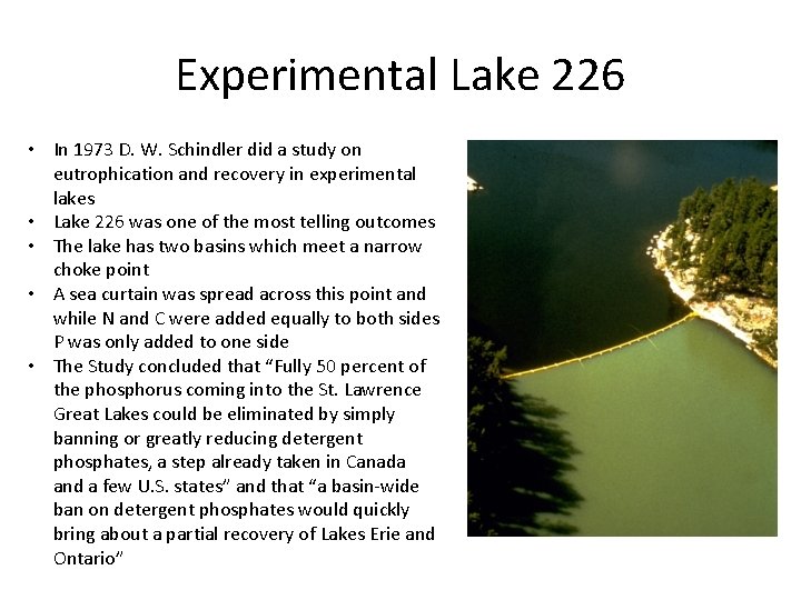 Experimental Lake 226 • In 1973 D. W. Schindler did a study on eutrophication