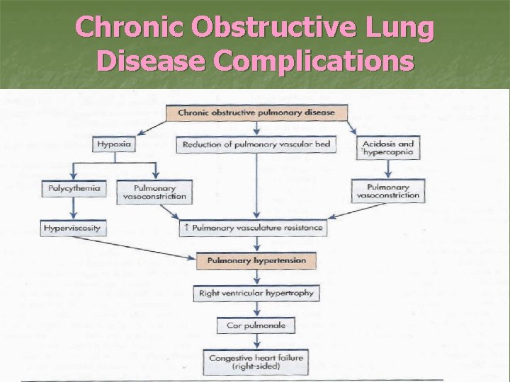 Chronic Obstructive Lung Disease Complications 