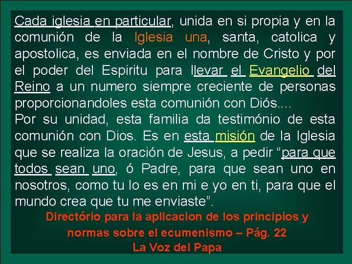 Cada iglesia en particular, unida en si propia y en la comunión de la