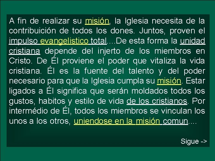 A fin de realizar su misión, la Iglesia necesita de la contribuición de todos