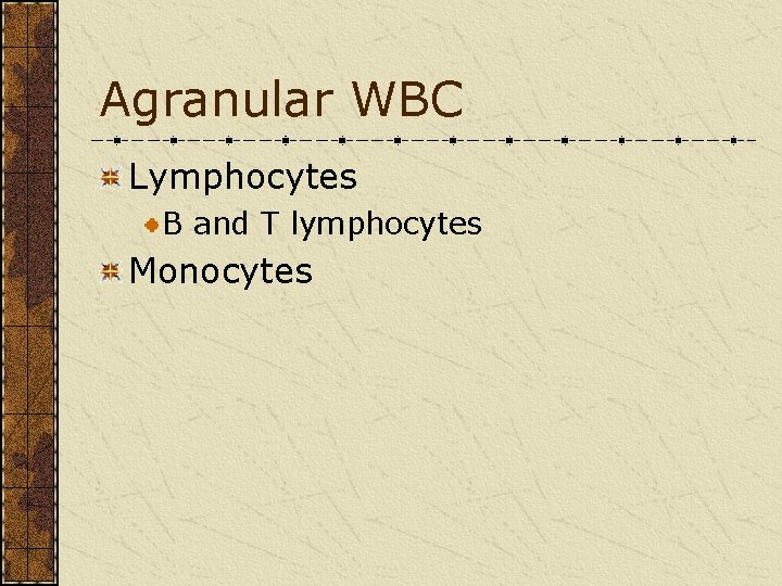 Agranular WBC Lymphocytes B and T lymphocytes Monocytes 