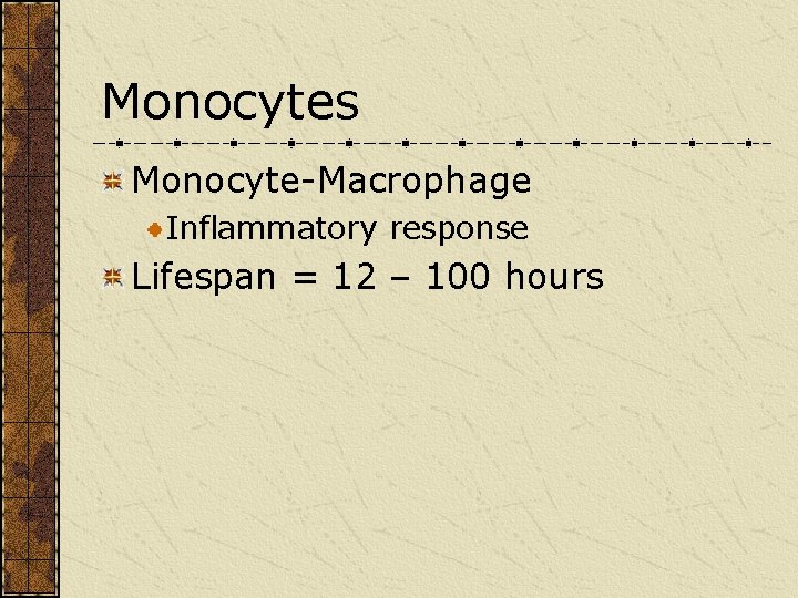 Monocytes Monocyte-Macrophage Inflammatory response Lifespan = 12 – 100 hours 