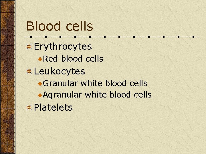 Blood cells Erythrocytes Red blood cells Leukocytes Granular white blood cells Agranular white blood