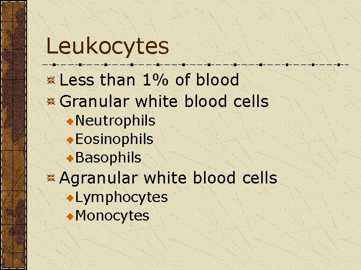 Leukocytes Less than 1% of blood Granular white blood cells Neutrophils Eosinophils Basophils Agranular