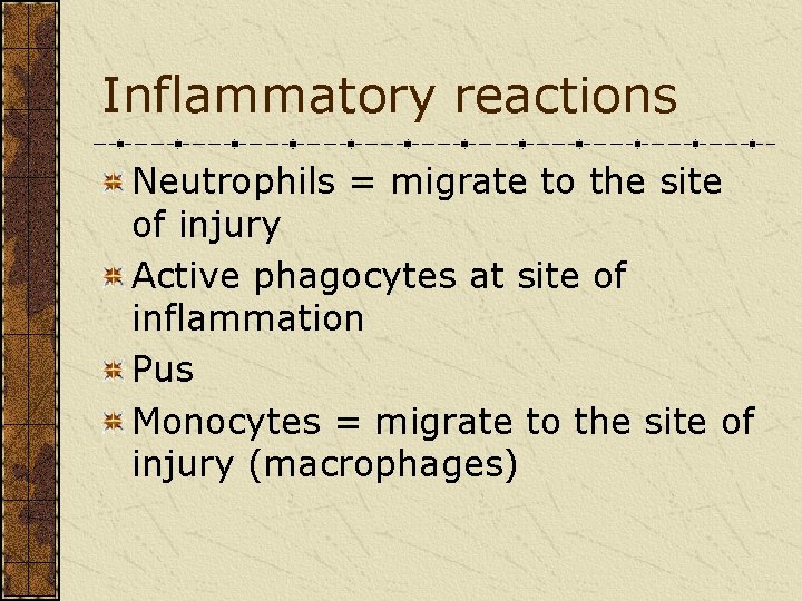 Inflammatory reactions Neutrophils = migrate to the site of injury Active phagocytes at site