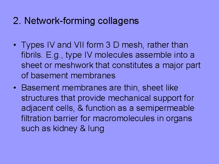 2. Network-forming collagens • Types IV and VII form 3 D mesh, rather than