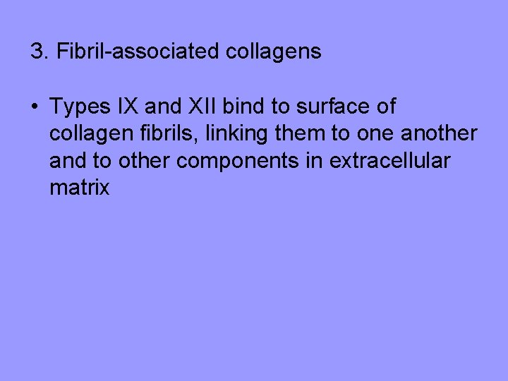 3. Fibril-associated collagens • Types IX and XII bind to surface of collagen fibrils,