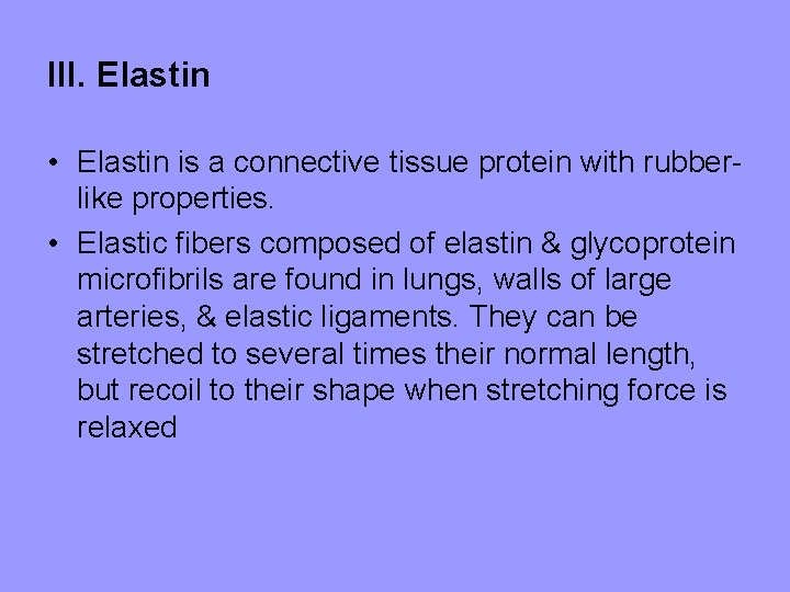 III. Elastin • Elastin is a connective tissue protein with rubberlike properties. • Elastic