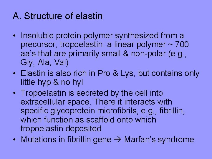 A. Structure of elastin • Insoluble protein polymer synthesized from a precursor, tropoelastin: a