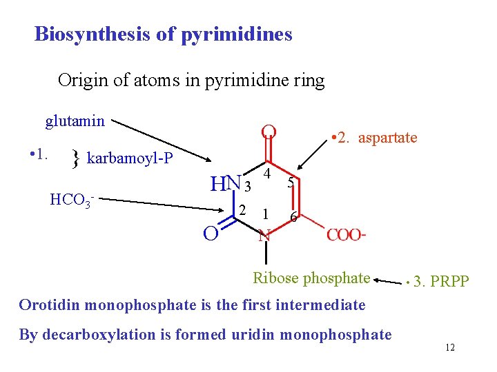 Biosynthesis of pyrimidines Origin of atoms in pyrimidine ring glutamin • 1. O karbamoyl-P