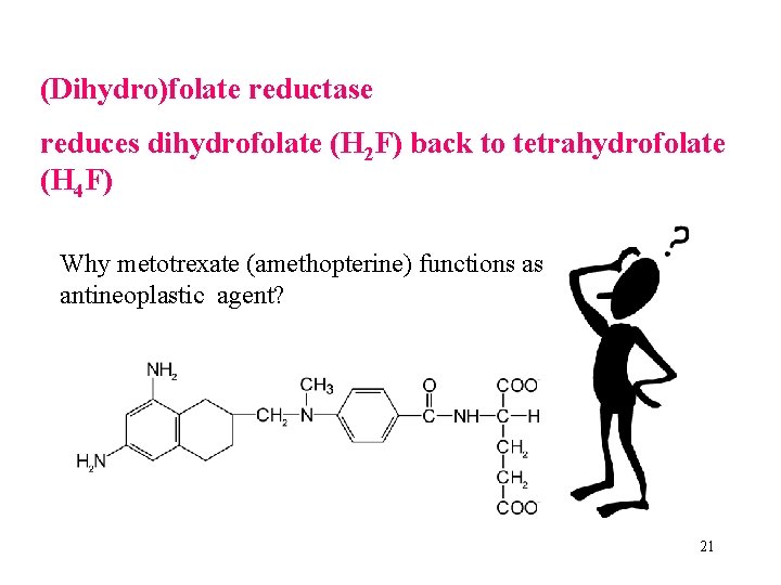 (Dihydro)folate reductase reduces dihydrofolate (H 2 F) back to tetrahydrofolate (H 4 F) Why