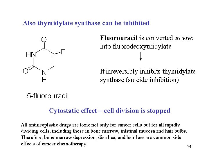 Also thymidylate synthase can be inhibited Fluorouracil is converted in vivo into fluorodeoxyuridylate It