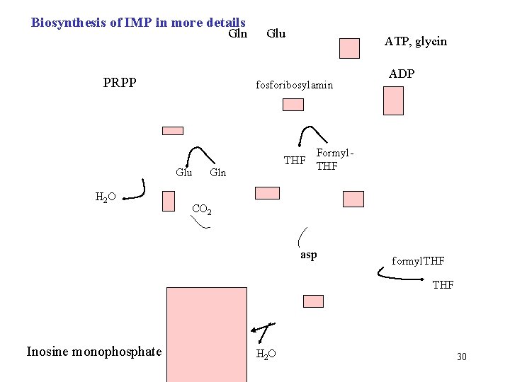 Biosynthesis of IMP in more details Gln PRPP ATP, glycin fosforibosylamin Glu H 2